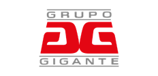 Grupo Gigante